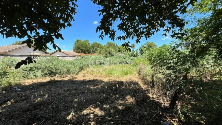 Imagem Terreno à venda em Campo Grande-MS, Jardim Sumatra, 420m² de área!