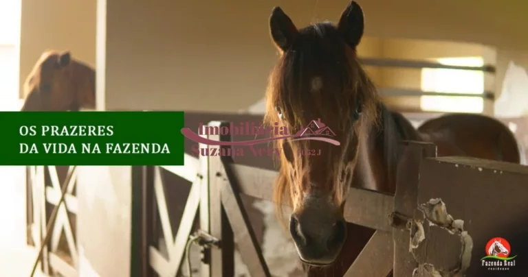 Imagem TERRENO NO CONDOMÍNIO FAZENDA REAL