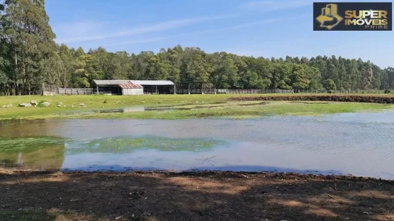 Imagem Fazenda Mista em Pedras Altas-RS