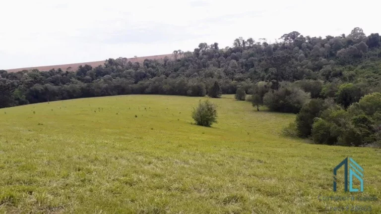 Imagem CHÁCARA poço artesiano, 52 mil m², 10km da Cidade, com projeto de Pousada em Pato Branco PR
