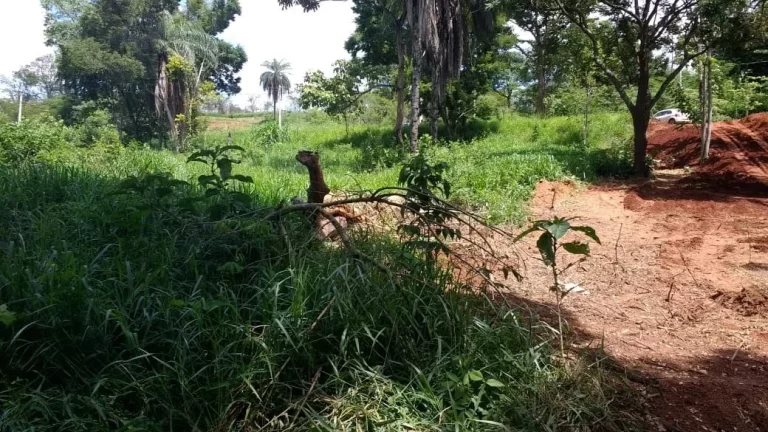 Imagem Loteamento em Lagoa Santa