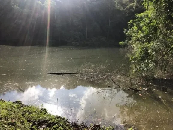 Imagem Sítio à venda em Piedade-SP, bairro Piedade, com 0,01 m² de área: oportunidade imperdível!