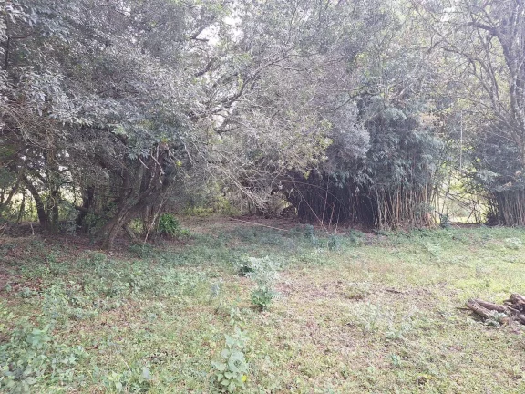 Imagem Sitio à venda, com 1.6 hectares, córrego natural, no Espigão, Viamão/RS