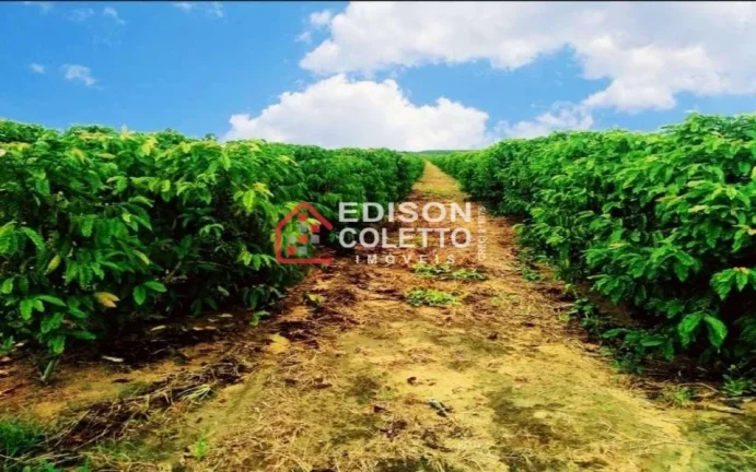 Imagem Fazenda/Sitio, Residencial/Comercial para Venda, Centro, Caraiva