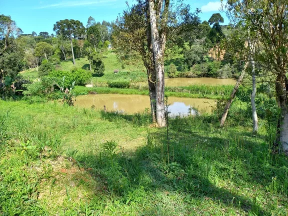 Imagem Chácara para Venda em Quitandinha, Zona Rural