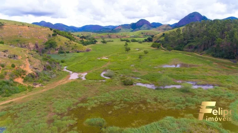 Imagem FAZENDA NO MUNICÍPIO DE LINHARES A 45 KM DE COLATINA.