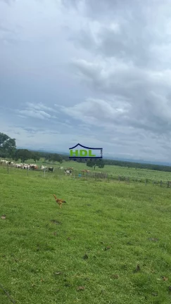 Imagem Fazenda 226 Alqs Dupla aptidão Natividade/TO
