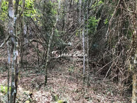 Imagem Terreno à venda, 10846 m² por R$ 440.000 - Green Valleiy - Teresópolis/RJ