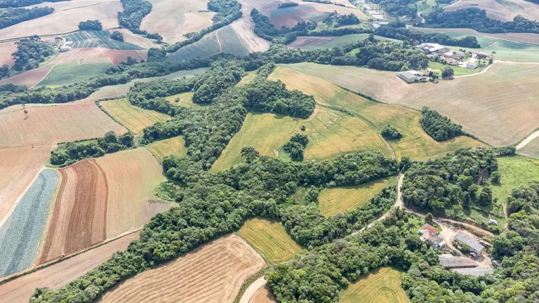 Imagem Chácara com 6 alqueires em Campo Magro
