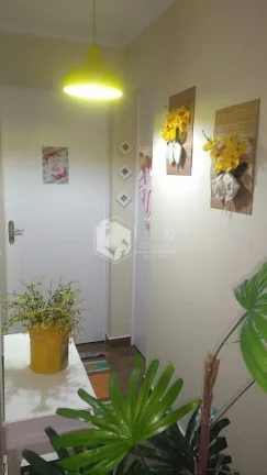 Imagem Apartamento à venda, 53 metros, 3 dormitórios, 1 vaga, reformado - Vila Amália, condomínio Horto II São Paulo, SP