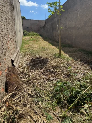 Imagem Terreno 5x28