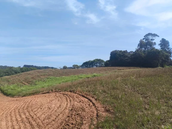 Imagem Chácara 2 Alqueires Bolinete