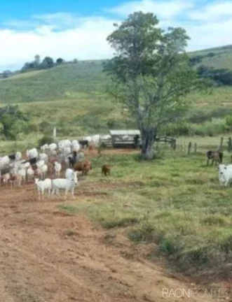 Fazenda à Venda, 8.373.200 m² em Zona Rural - Jacutinga