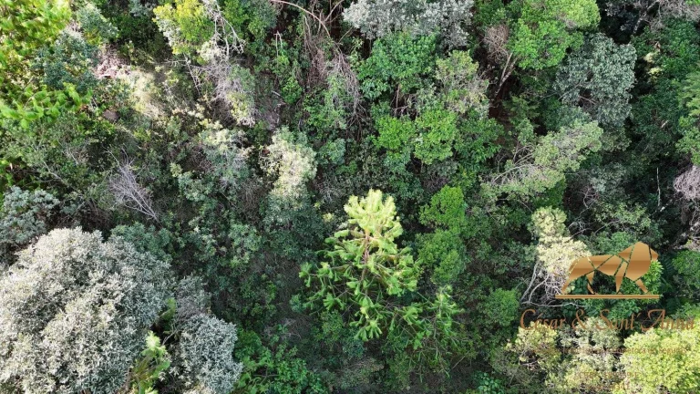Imagem Terreno a venda em Campos do Jordão