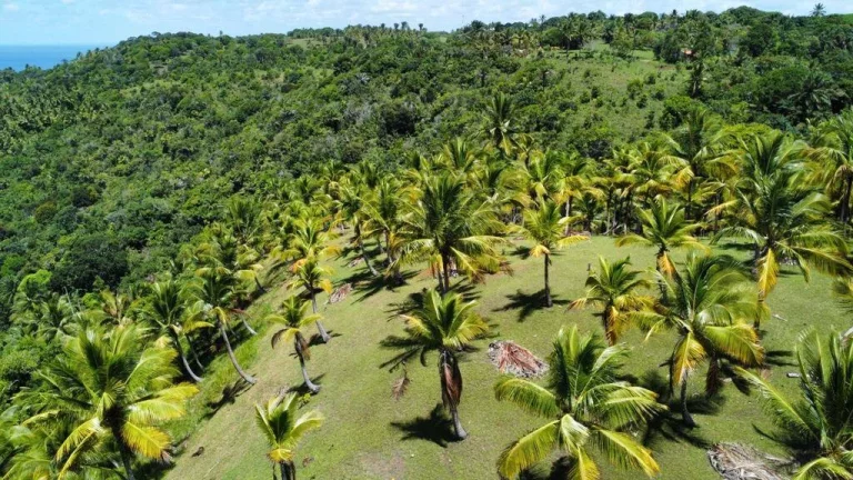 Imagem Natureza Serra Grande