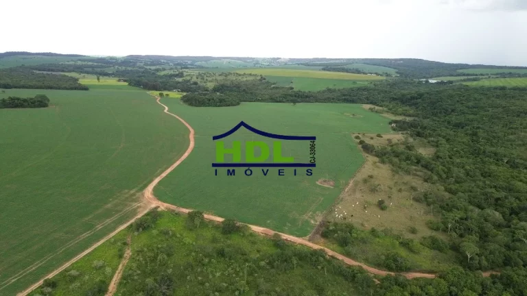 Imagem Fazenda 70 Alqs Dupla Aptidão plantada em Soja em Bela Vista GO