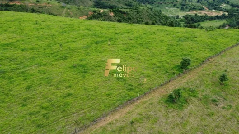 Imagem Fazenda 55 alqueires escriturada produtiva com muita água em Colatina.