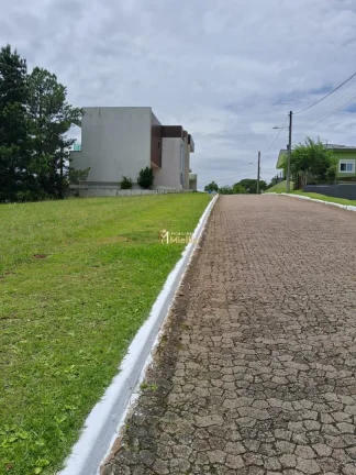 Imagem Terreno-Lote Residencial com 6 Dormitorio(s) localizado(a) no bairro Elsa em Viamão / Rio Grande do Sul Ref.:57580897