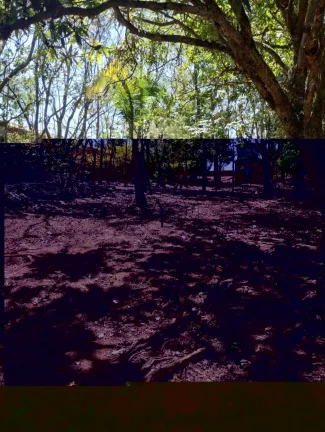 Imagem Chácara à venda em Campinas, Loteamento Chácaras Gargantilhas, com 3 quartos, 180m2