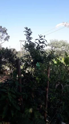Imagem Terreno à venda, 225 m² por R$ 133.000,00 - Água Azul - Guarulhos/SP