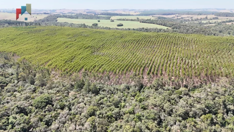 Imagem Fazenda a venda em São Miguel Arcanjo SP