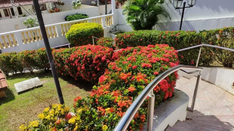 Imagem Sua Casa dos Sonhos em Lauro de Freitas num Condomínio Privilegiado!