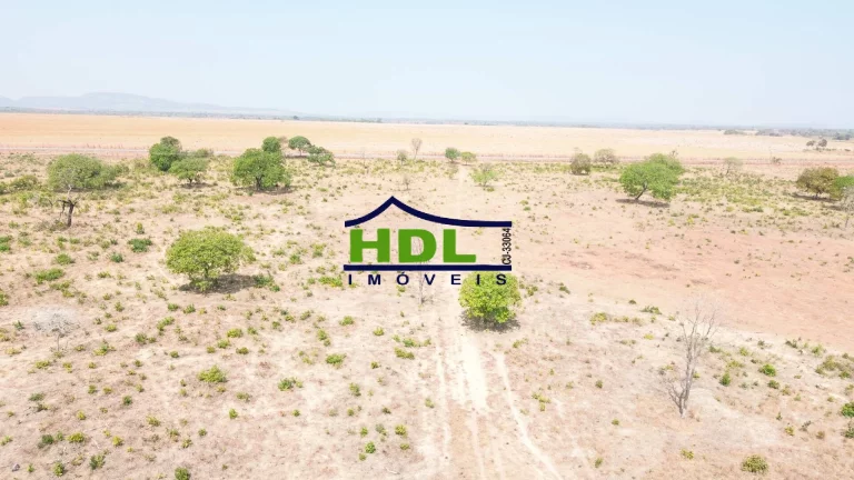 Imagem Fazenda de OPORTUNIDADE Dupla Aptidão em Peixe do Tocantins