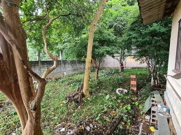 Imagem Terreno 500m2 plano e murado, Vila Amália - SP