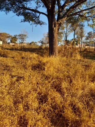 Imagem LOTE PLANO E BARATO , EM MATEUS LEME!