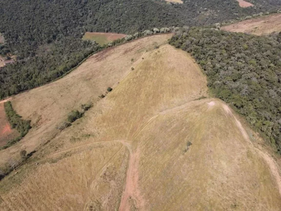 Imagem Fazenda à Venda, 4.463.400 m² em Zona Rural - Maria Da Fé