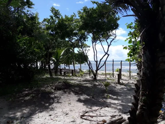 Imagem Oportunidade única: Área de Terra em Velha Boipeba, Cairu - confira!