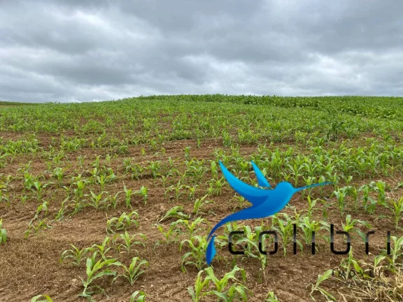Imagem Chácara à Venda, 20.637 m² em Lagoa Dos Pretos - Agudos Do Sul