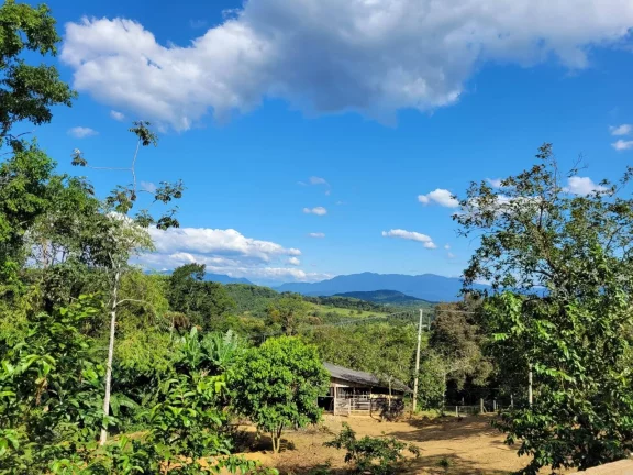 Imagem Chácara na Serra da Graciosa em frente ao Asfalto - Antonina - R$900mil
