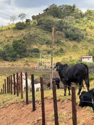 Imagem OPORTUNIDADE ÚNICA: TERRENO DE 94 MIL M² NA ENCANTADORA CIDADE DE MUNHOZ