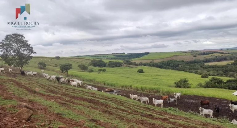 Imagem Fazenda região de Tatuí SP