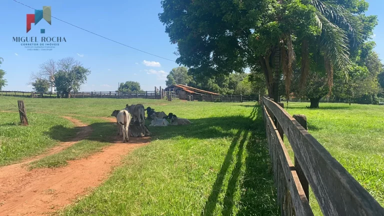 Imagem Fazenda a venda