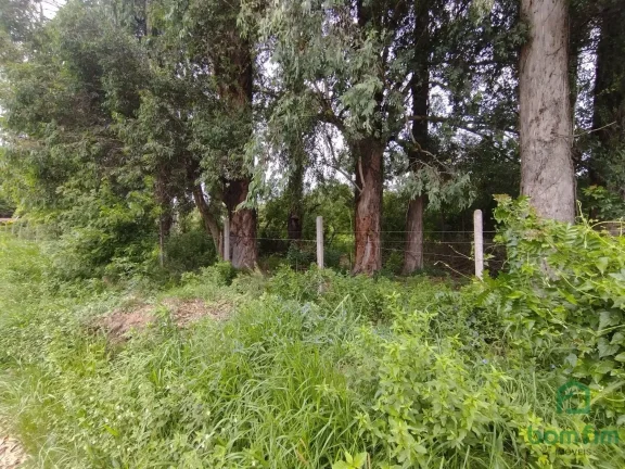 Imagem Terreno para aluguel, Ponta Grossa, Porto Alegre/RS.