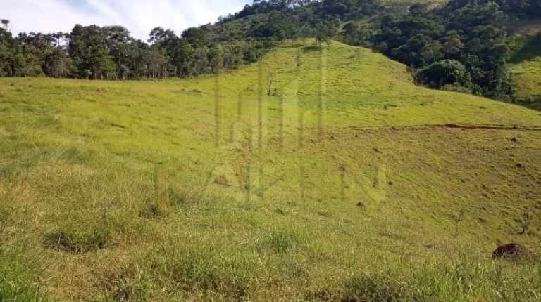 Imagem Chacara em São Francisco Chavier