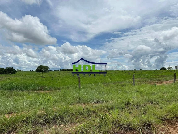 Imagem Fazenda dupla aptidão a venda em Nova Xavantina-MT
