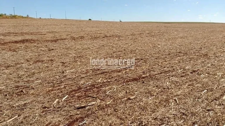 Imagem Chácara à venda 3000M², Centro, Cornélio Procópio - PR