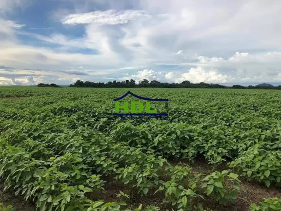 Imagem Fazenda 8.107 Alqs dupla aptidão Confresa MT