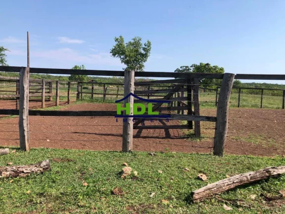 Imagem Fazenda 230 Alqs em Natividade do Tocantins