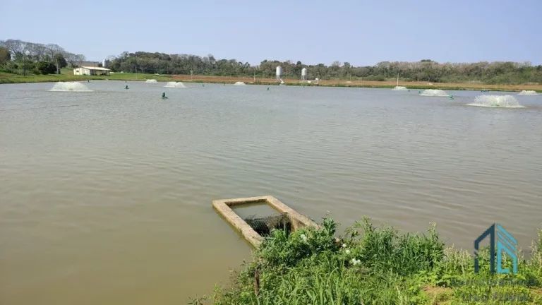 Imagem Sítio Produtivo de 5 alqueires, 7 tanques, em São Miguel do Iguaçu PR