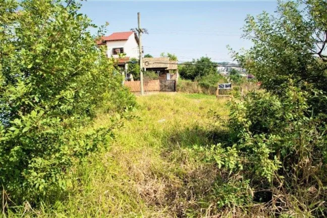 Imagem Terreno - Bairro Alto Petropolis