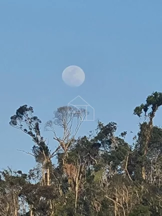 Imagem Sitio em Marechal Floriano com Casa