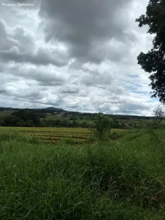 Imagem Sítio para Venda em Suzano, Ipelândia