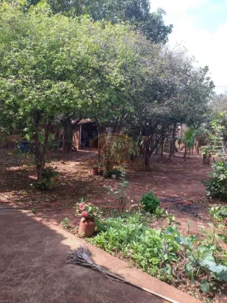 Imagem CHACÁRA AO LADO DO THERMAS RIO PRETO