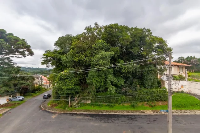Imagem Residência esquina Vista Alegre 3 suítes