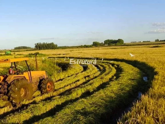 Imagem Ótima área rural com 145 hectares