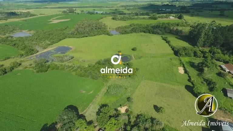 Imagem Chácara com 6,2 ha